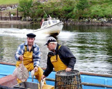 Golden'S Cove Apartments At Sneem Hotel מראה חיצוני תמונה